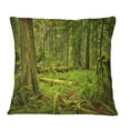 thumbnail image 1 of Designart Lush Rainforest in Cathedral Grove - Landscape Printed Throw Pillow - 18x18, 1 of 1