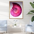 thumbnail image 1 of Designart "Marine Seashell Spiral In Vibrant Magenta" Nautilus Floater Framed Wall Art Prints, 1 of 5