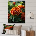 thumbnail image 1 of Designart "Medley of Yellow Marigolds" Floral Canvas Wall Art - Traditional Yellow Marigold Bedroom Canvas Wall Art, 1 of 6