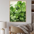 thumbnail image 1 of Designart "Meticulous Tropical Botanicals" Plants Floater Framed Wall Art Prints, 1 of 5