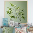 thumbnail image 1 of Designart "Minimalism In Lime Lightness Leaves" Leaves Floater Framed Canvas Prints, 1 of 5