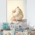 thumbnail image 1 of Designart "Minimalist Gems Seashell Collection" Animals Canvas Wall Art, 1 of 5