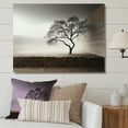 thumbnail image 1 of Designart "Minimalist Photography Of A Serene Tree" Tree Wall Decor, 1 of 7