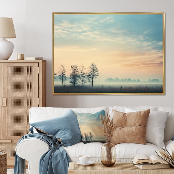 Designart "Misty Morning Sky in a Photograph III" Landscapes Floater Framed Canvas Wall Art