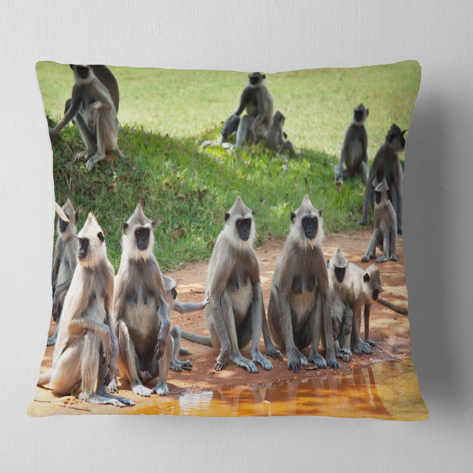 Designart Monkeys in Sri Lanka - African Throw Pillow - 18x18