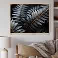 thumbnail image 1 of Designart "Monochromatic Delight Of Fern Fronds" Plants Floater Framed Wall Art Prints, 1 of 5