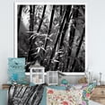 thumbnail image 1 of Designart "Monochromatic Forest Of Bamboo" Bamboo Picture Framed Canvas Art Print, 1 of 5