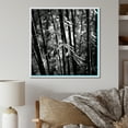 thumbnail image 1 of Designart "Monochromatic Forest Of Bamboo I" Bamboo Floater Framed Wall Art Prints, 1 of 5