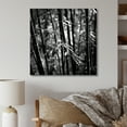 thumbnail image 1 of Designart "Monochromatic Forest Of Bamboo I" Bamboo Wall Art Prints, 1 of 7