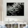 thumbnail image 1 of Designart "Monochrome Anemone In Colorful Photo I" Coastal Coral Under Water Floater Framed Wall Art Living Room, 1 of 5
