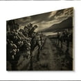 thumbnail image 1 of Designart "Monochrome Beauty of a Scenic Vineyard" Landscapes Print on Natural Pine Wood, 1 of 5