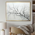 thumbnail image 1 of Designart "Monochrome Birch Serenity III" Tree Birch Floater Framed Canvas Art Print, 1 of 5