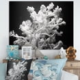 thumbnail image 1 of Designart "Monochrome Coral Plant Beauty I" Coastal Coral Under Water Canvas Wall Art, 1 of 7