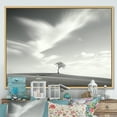 thumbnail image 1 of Designart "Monochrome Lone Tree In Field" Tree Floater Framed Canvas Wall Art, 1 of 1