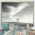 thumbnail image 1 of Designart "Monochrome Lone Tree In Field" Tree Floater Framed Canvas Wall Art, 1 of 5