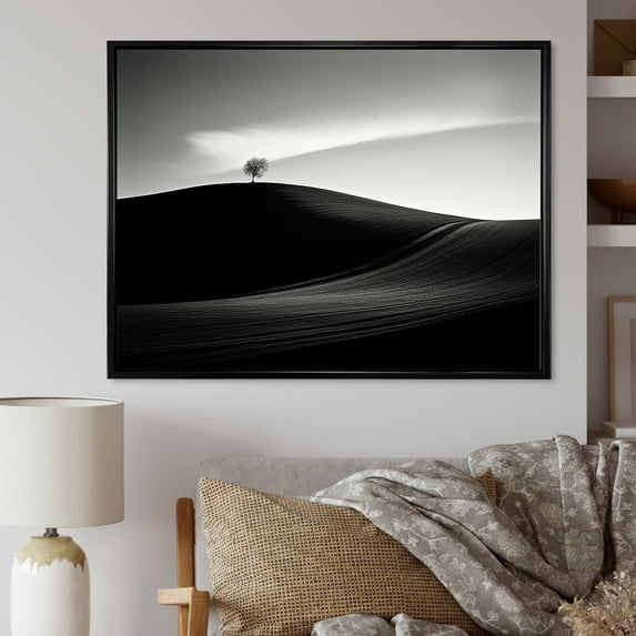 Designart "Monochrome Meadow In Black And White Photography" Meadow Floater Framed Wall Art Prints