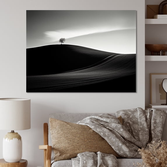 Designart "Monochrome Meadow In Black And White Photography" Meadow Wall Art Prints