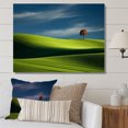 thumbnail image 1 of Designart "Monochrome Meadow In Green Photography I" Meadow Wall Art Living Room, 1 of 7