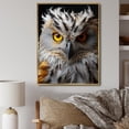 thumbnail image 1 of Designart "Monochrome National Grey Owl Animal" Animals Floater Framed Wall Art Living Room, 1 of 7
