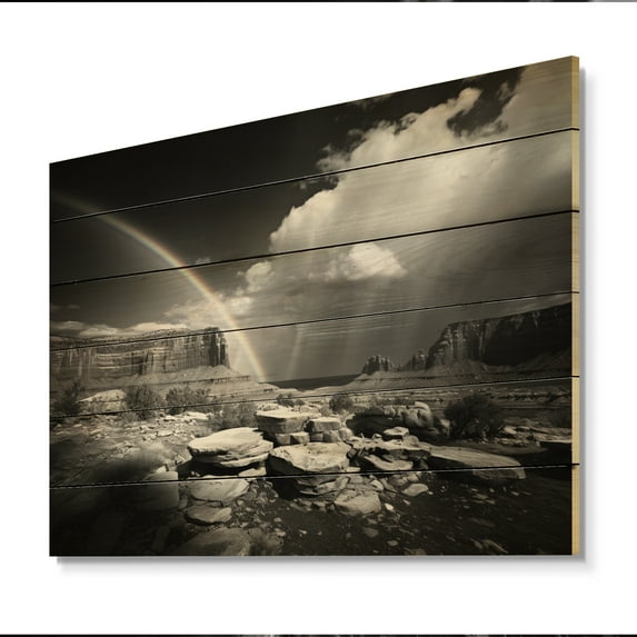 Designart "Monochrome Rainbow Prism horizon" Landscapes Print on Natural Pine Wood