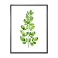 thumbnail image 1 of Designart 'Moringa Plant Branch Tropical Tree Foliage' Farmhouse Framed Canvas Wall Art Print, 1 of 5