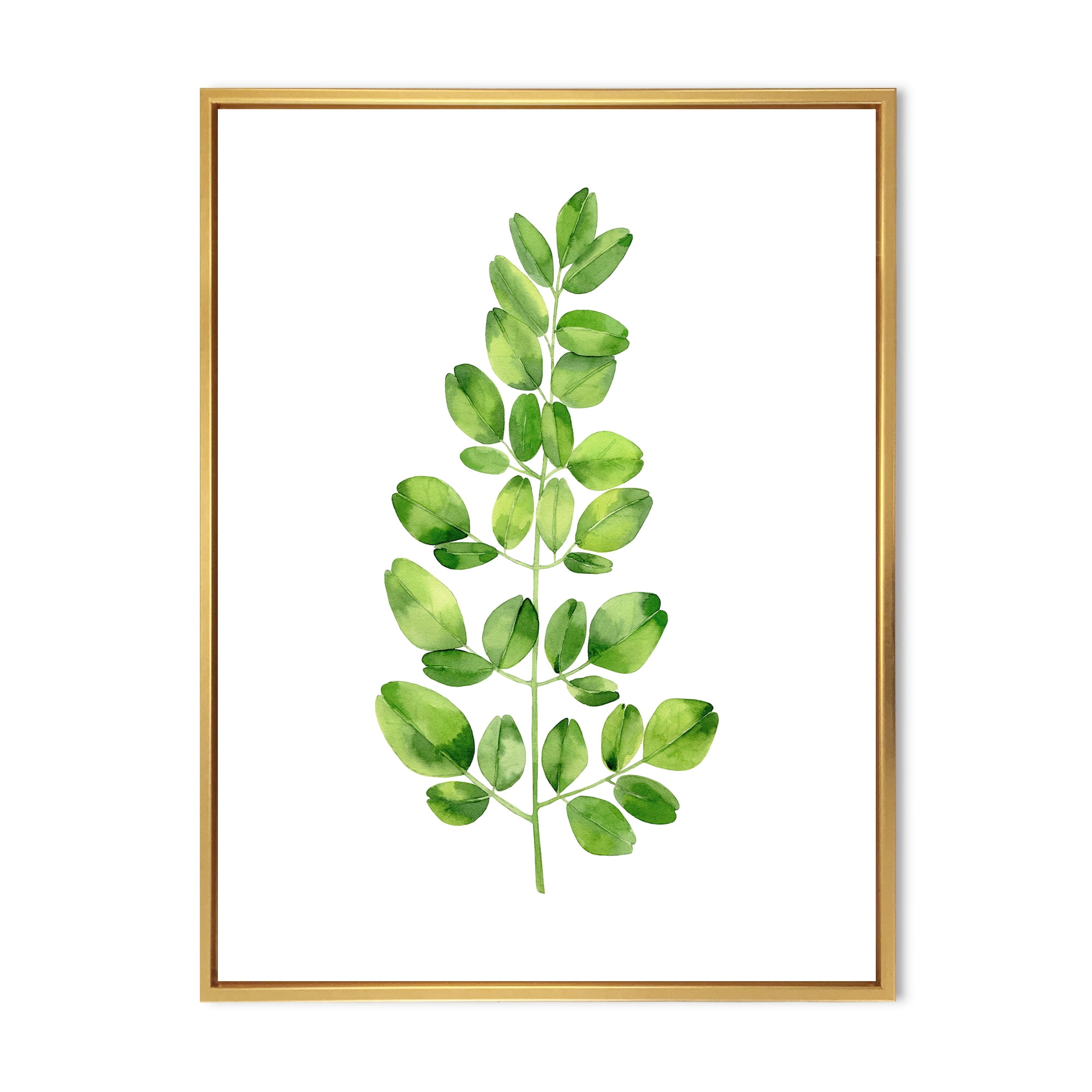 Designart 'Moringa Plant Branch Tropical Tree Foliage' Farmhouse Framed Canvas Wall Art Print