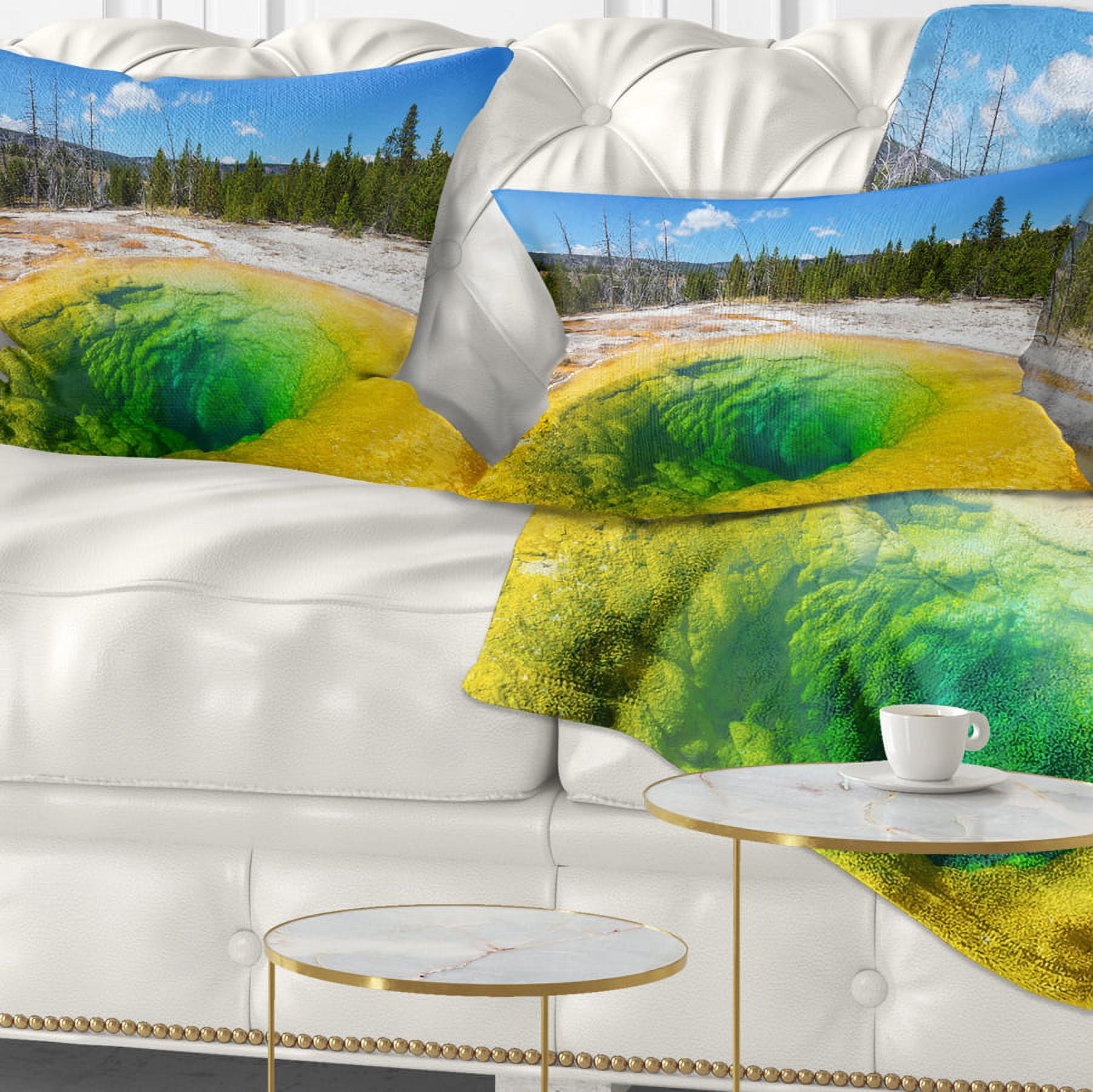 Designart Morning Glory Pool Close up - Landscape Photography Throw Pillow - 12x20