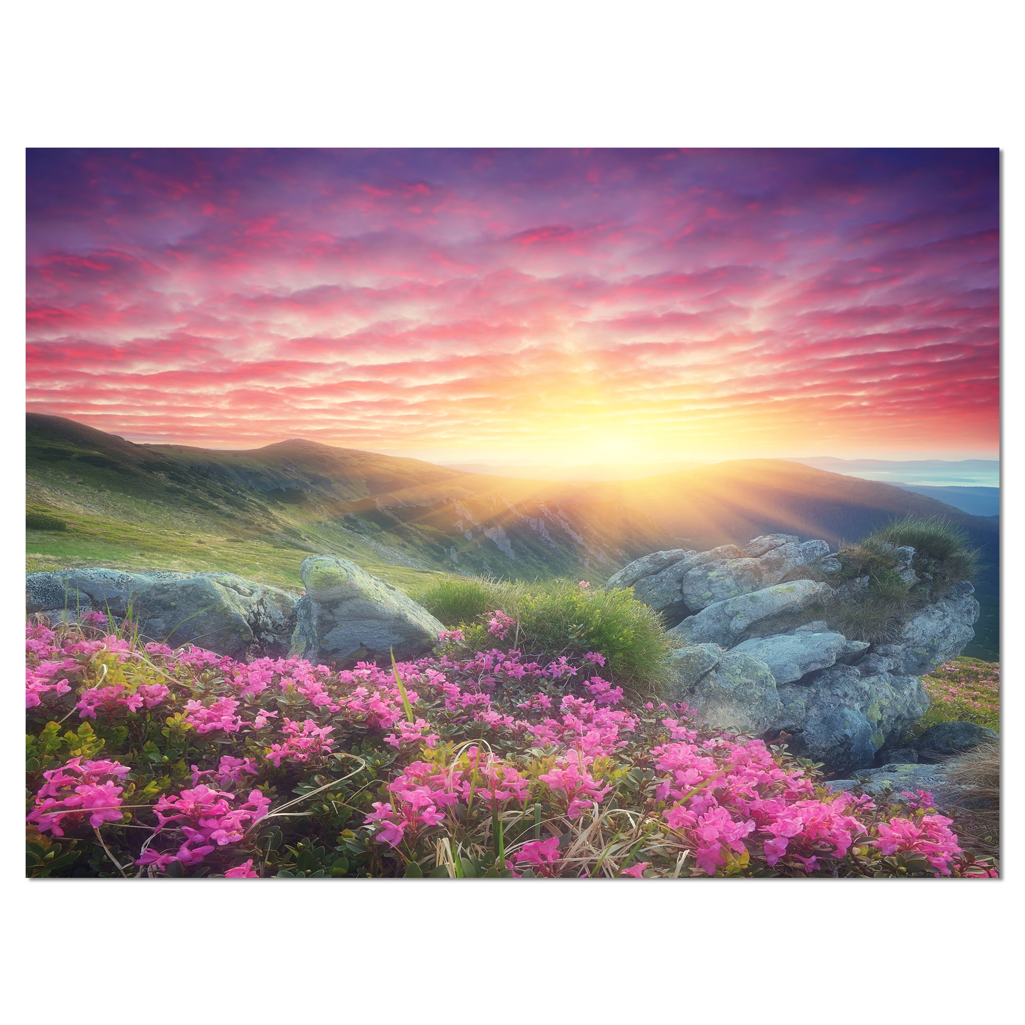 Morning Sunrise with Pink Flowers Landscape Canvas Print