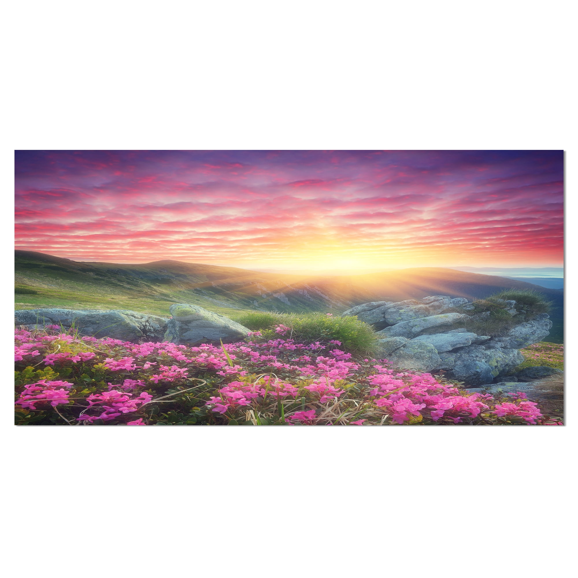 Designart 'Morning with Flowers in Mountains ' Landscape Photography Canvas Print