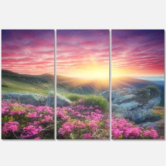 Designart 'Morning with Flowers in Mountains ' Landscape Photography Canvas Print