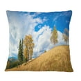 thumbnail image 1 of Designart Mountain Autumn Panorama - Landscape Printed Throw Pillow - 18x18, 1 of 1