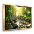thumbnail image 1 of Designart ' Mountain Stream in Forest ' Landscape Photography Framed Canvas Print, 1 of 2