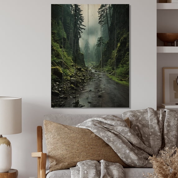 Designart "Muddy Pathway in Olympic National Park, USA" Landscapes Print on Natural Pine Wood