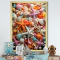 thumbnail image 1 of Designart "Multihued Symphony of Seashells" Coastal Framed Wall Art - Coastal Pink Coastal Tropical Entryway Framed Wall Art Print, 1 of 6