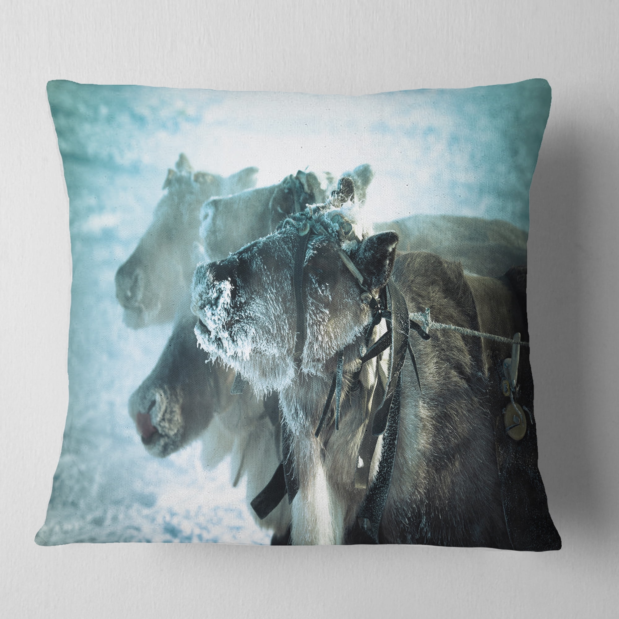 Designart Muzzle Reindeer in Frost - Animal Throw Pillow - 18x18