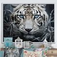 thumbnail image 1 of Designart "Mysterious Cat s Gaze II" Animals Floater Framed Canvas Art Print, 1 of 7