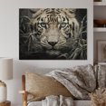 thumbnail image 1 of Designart "Mysterious Cat s Gaze II" Animals Print on Natural Pine Wood, 1 of 5