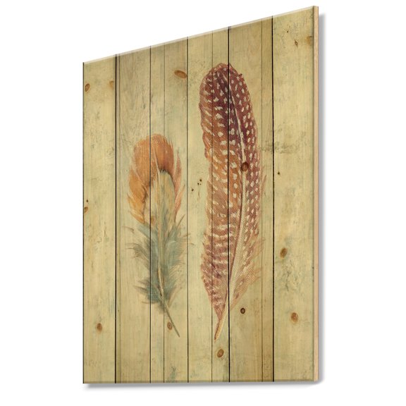 Designart 'Natural Feathers on Wood II' Farmhouse Print on Natural Pine Wood