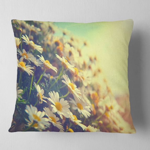 Designart Nature with Blooming Chamomiles - Floral Throw Pillow - 16x16
