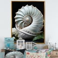 thumbnail image 1 of Designart "Nautilus Sheels Animal " Animals Floater Framed Wall Decor, 1 of 7