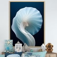 thumbnail image 1 of Designart "Nautilus Spiral In Azure Depths I" Nautilus Floater Framed Canvas Art Print, 1 of 5