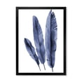 thumbnail image 1 of Designart 'Navy Blue Tropical Banana Leaves On White' Tropical Framed Art Print, 1 of 4