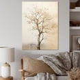 thumbnail image 1 of Designart "Neutral Toned African Tree" Tree African Canvas Art Print, 1 of 7