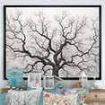 thumbnail image 1 of Designart "Oak Trees In Black And White I" Tree Oak Floater Framed Wall Art Living Room, 1 of 5