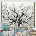 thumbnail image 1 of Designart "Oak Trees In Black And White I" Tree Oak Floater Framed Wall Art Living Room, 1 of 5
