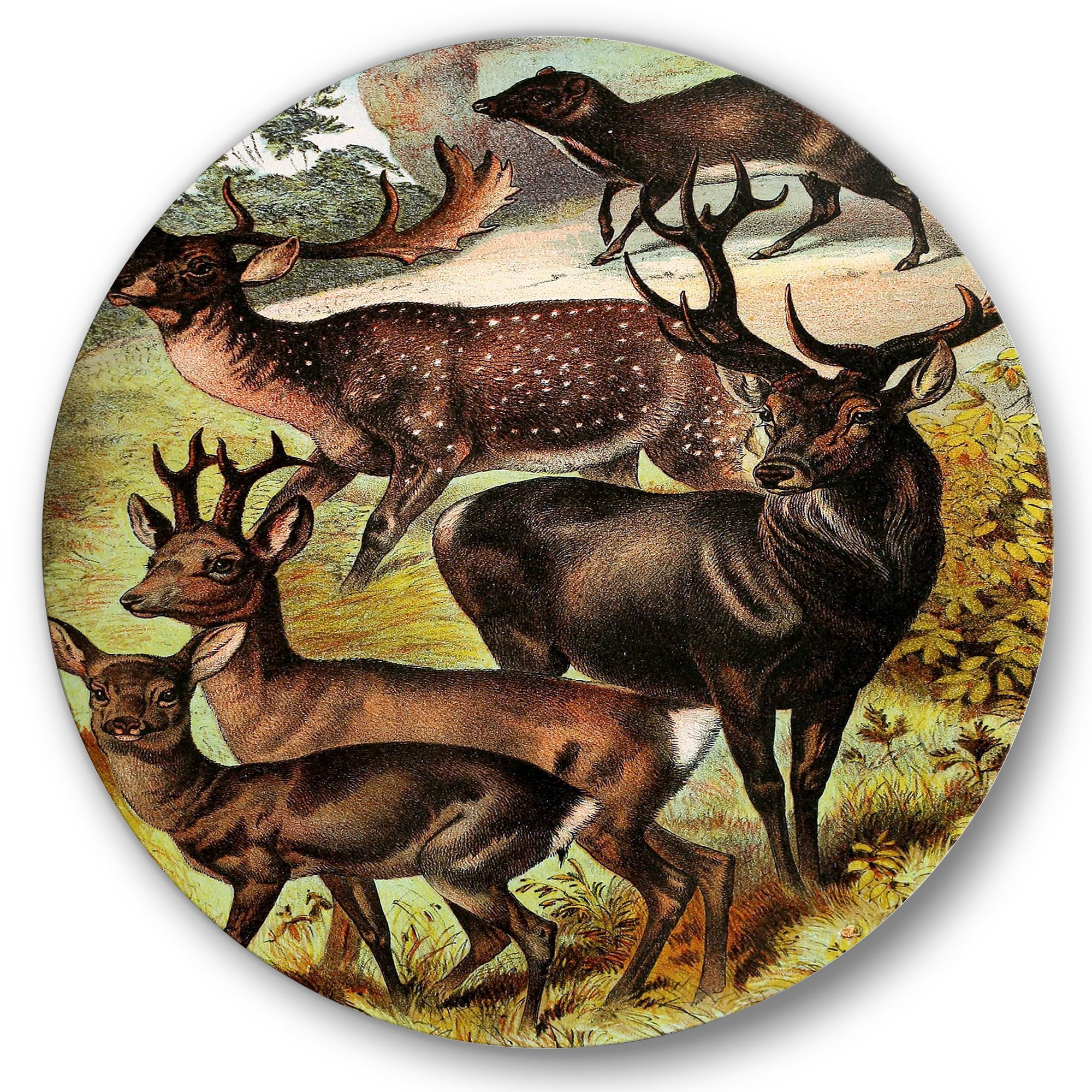 Designart 'Old-world Mammals I' Farmhouse Circle Metal Wall Art 29x29 - Disc of 29