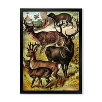 Designart 'Old-world Mammals I' Farmhouse Framed Art Print