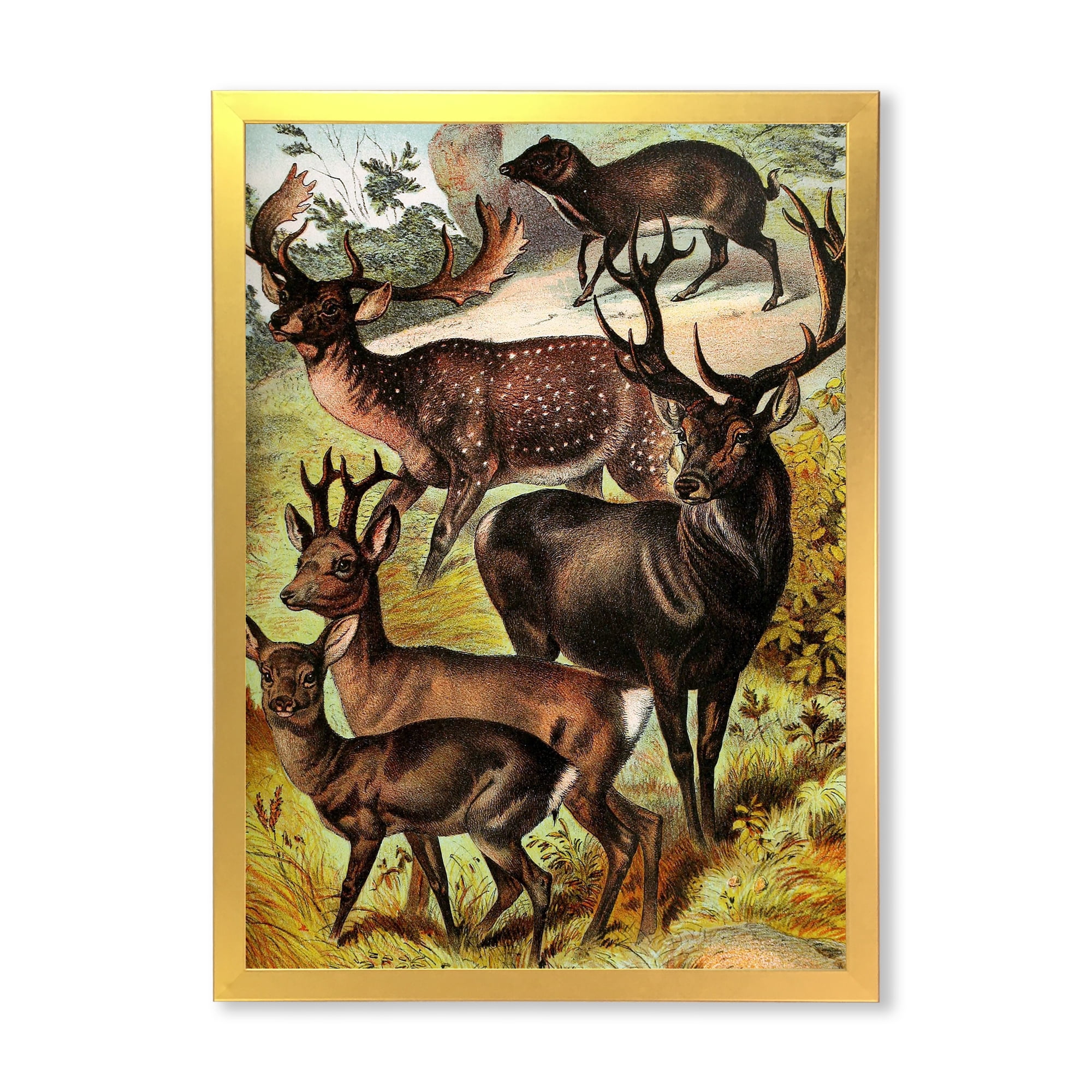 Designart 'Old-world Mammals I' Farmhouse Framed Art Print