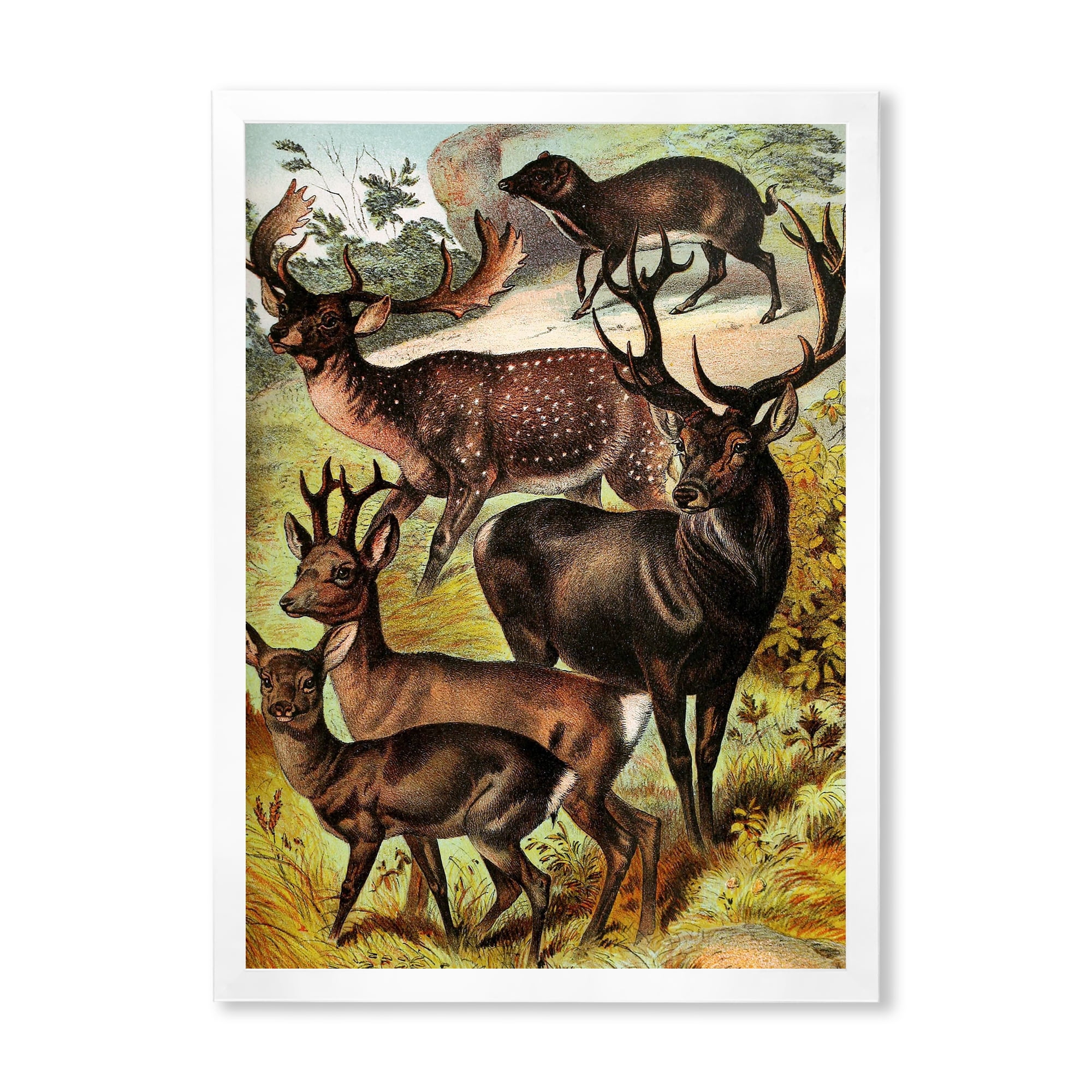 Designart 'Old-world Mammals I' Farmhouse Framed Art Print