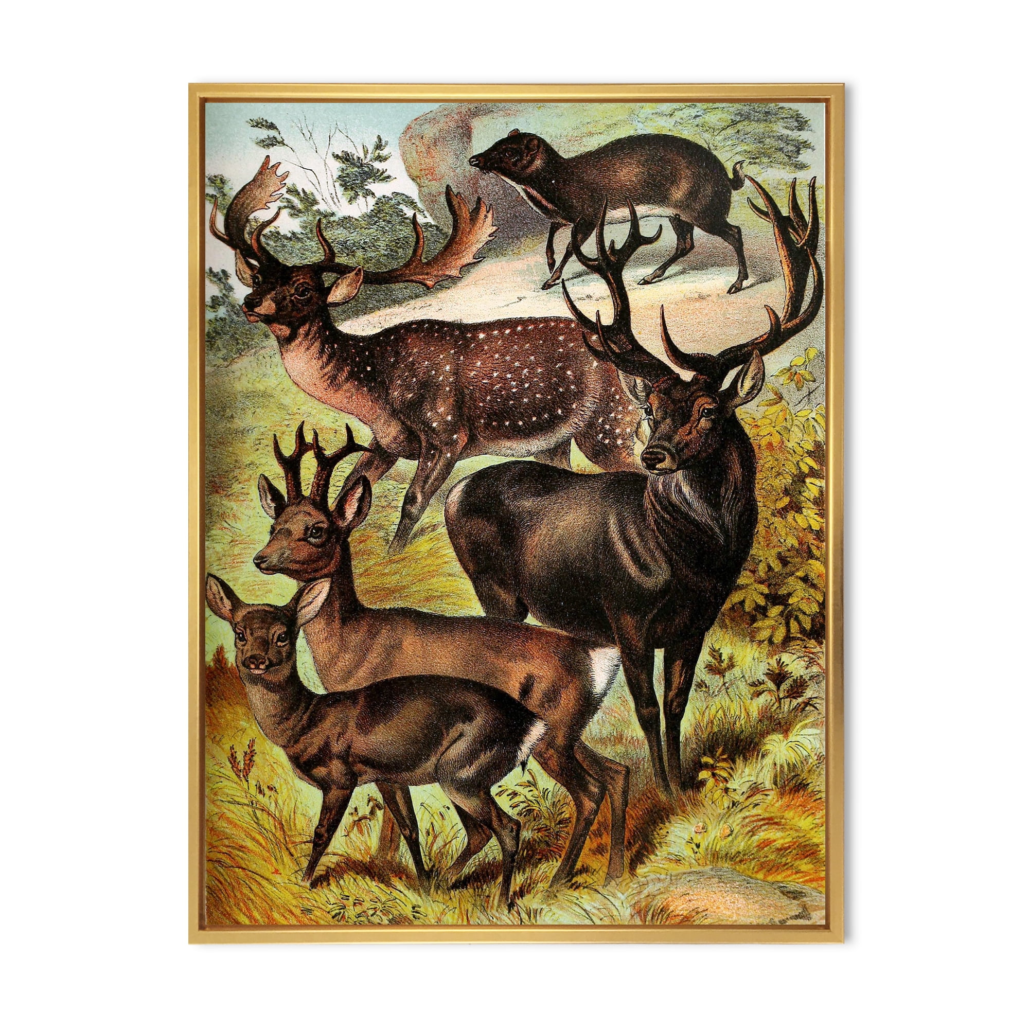 Designart 'Old-world Mammals I' Farmhouse Framed Canvas Wall Art Print